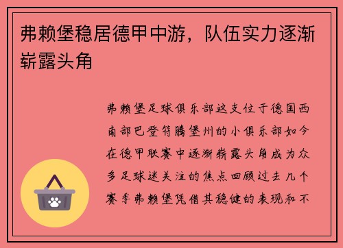 弗赖堡稳居德甲中游，队伍实力逐渐崭露头角
